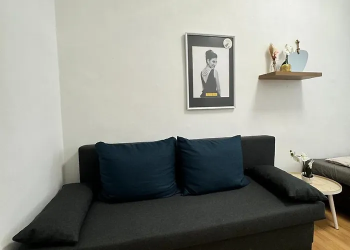 Apartmán Comfy In A Shared Apt, 8min To Rathausplatz Vídeň