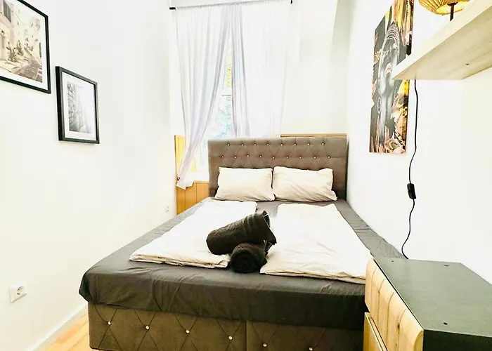Apartmán Comfy In A Shared Apt, 8min To Rathausplatz Vídeň